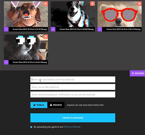 by how to giphy find and share on giphy