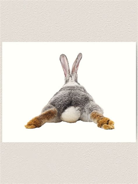 Cute Bunny Rabbit Tail Butt Image Picture Art Print For Sale By