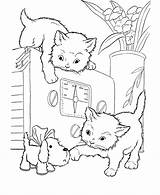 Coloring Pages Cats Cat Kittens Kitten Playing Kids Printable Puppies Puppy Oven Animal Three Color Cute Print Little Filminspector Book sketch template