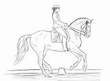 Dressage Ausmalen Pferde Pferdebilder Malen Sso Malvorlage sketch template