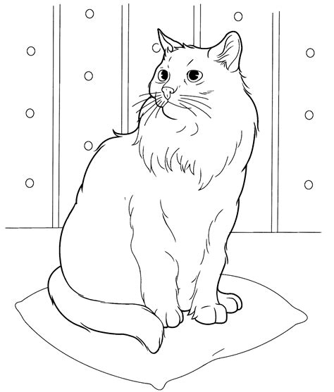 caterpillar pictures  kids  colour  coloring pages