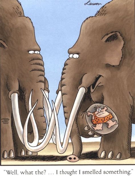 The Far Side Cartoons Elephants Gary Larson Cartoons Funny Cartoons