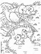 Duck Ducklings Kolorowanki Krajobraz Wiosenny Ente Entlein sketch template