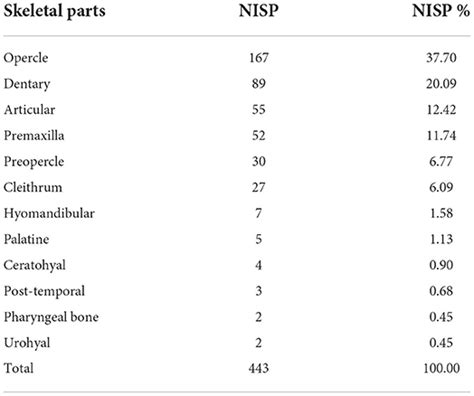 Frontiers Body Size And Age Estimation Of Chinese Sea Bass