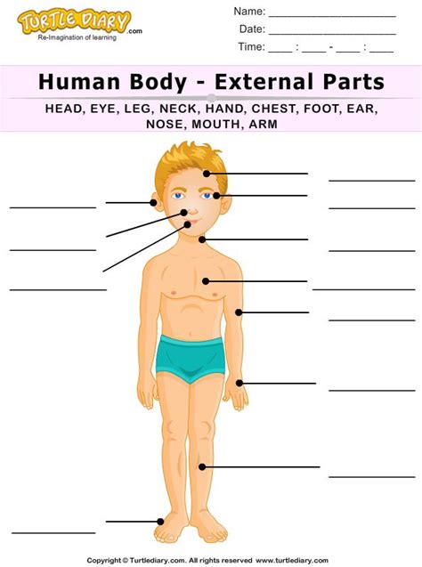 pin  heathers human body summer camp pinpoints