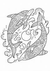 Delfin Malvorlagen Meerjungfrau Dolphins sketch template