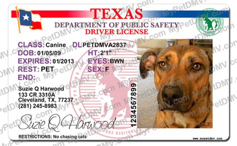 rescued   favorite breed pet search page texas