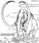 Mammoth Mamoth Coloringbay Wooly sketch template