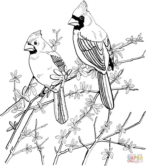 stl fred bird coloring page coloring pages