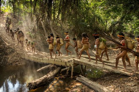 isolated nomads are under siege in the amazon jungle