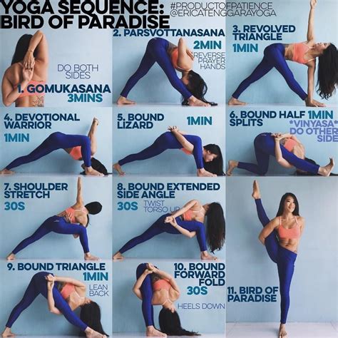 evolution  kriya yoga  images yoga sequences yoga moves