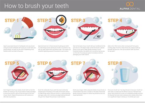 brush  teeth infographic images   finder