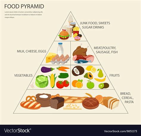 food pyramid healthy eating infographic healthy food pyramid healthy