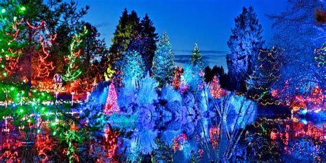 Things To Do In Vancouver Christmas Lights Photos