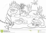 Pond Coloring Frog Vector Drawing sketch template