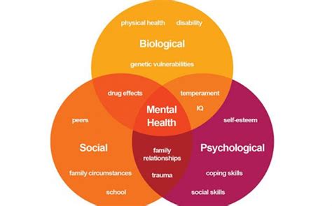 What Are Some Types Of Mental Disorders Info Psycho