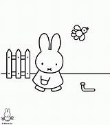 Miffy Coloring Pages Cartoon Color Character Printable Kids Sheets Comments Characters Coloringhome Back sketch template