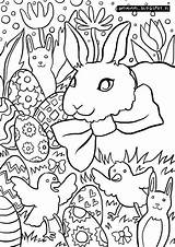 Coloring Pages Bunny sketch template
