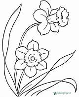 Coloring Flowers Printable Pages Flower sketch template