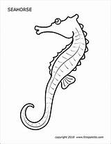 Seahorse Printable Firstpalette Coloring Pages Templates sketch template