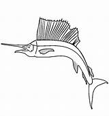 Sailfish Coloring Outline Fish Drawings 28kb sketch template