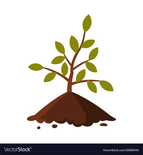 young tree sapling  ground flat style royalty  vector