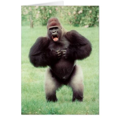 Silverback Gorilla Beating Chest Card