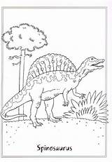 Spinosaurus Kleurplaten Kleurplaat Dinosaurus Dinosauri Dinosaurussen Dinosaurs Rex Stampare Malvorlagen Dinosauro Dinosaure Pianetabambini Colorier Animaatjes Dinosaurier Dinos Salvato Gratuit Dinosaures sketch template