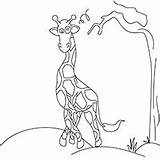 Giraffe Coloring Pages Printable Crazy Going Cute Giraffes Toddlers Momjunction Dots Choose Board sketch template