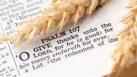 top  thanksgiving bible verses scriputres  gratitude thankfulness