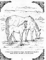 Coloring Palomino Horse Book Printable sketch template