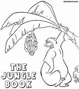 Coloring Jungle Book Pages Clipart Colouring Library Print Popular sketch template