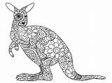 Kangaroos Kangourou Kangur Kangourous Kangaroo Zentangle Animaux Druku Kolorowanka Pleins Coloriages Fleuri Enfant Wydrukuj Malowankę sketch template