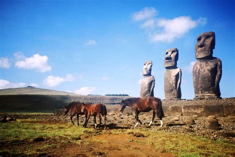 moai staue riding   horse  easter island photo victor santamaria gonzalez rconfusing