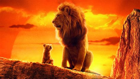 lion king    laptop full hd p hd  wallpapersimagesbackgrounds