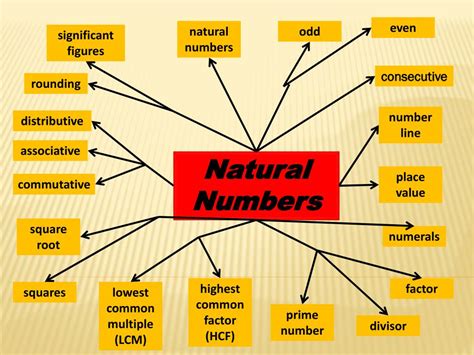 natural numbers powerpoint    id