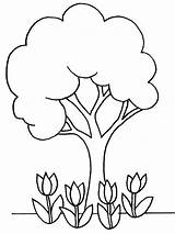 Coloring Plants Plant Pages Tree Flowers Colouring Printable Kids Desert Animals Clipart Template Flower Planting Nature Sheet Kindergarten Spring Color sketch template