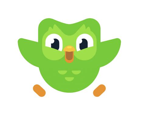 meet  duolingo owl  bird  changed language learning duoplanet
