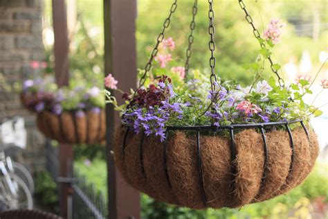 How To Plant A Flowering Hanging Basket