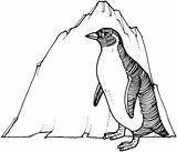 Penguin Coloring Chinstrap Getdrawings sketch template
