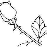 Coloring Pages Rose Post sketch template