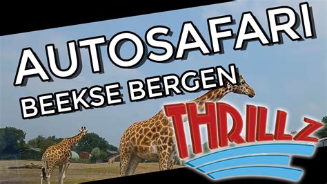 autosafari car safari  safaritrip  beekse bergen thrillz youtube