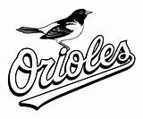 Orioles Baltimore Oriole Malvorlagen Colorir Ausmalbilder Phillies Cricut Webstockreview Vectorified sketch template