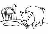 Coloring Pig Kids Pages Cartoon Pigs Near Bank Cute Barn Cliparts Print Piggy Christmas Guinea Line Baby Piglets Characters Clipart sketch template