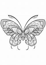 Papillon Motifs Insetti Vlinders Coloriages Moeilijk Insekten Papillons Kleurplaat Jolis Insectes Adulti Erwachsene Malbuch Adultos Insectos Schmetterlinge Schwer Kleurplaten Farfalle sketch template
