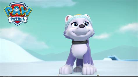 Paw Patrol The New Pup Everest Toy Youtube