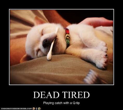 dead tired evil english