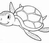 Turtle Sea Coloring Cartoon Drawing Pages Loggerhead Line Getdrawings Turtles Printable Kids Drawings Paintingvalley sketch template