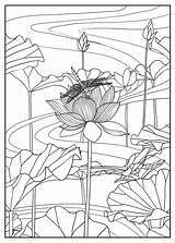 Lotus Coloriages Mizu Vegetazione Colorear Flor Loto Erwachsene Adulti Vegetation Enfants Danse Indienne Malbuch Fur Justcolor Adulte Adultes Savage Nggallery sketch template