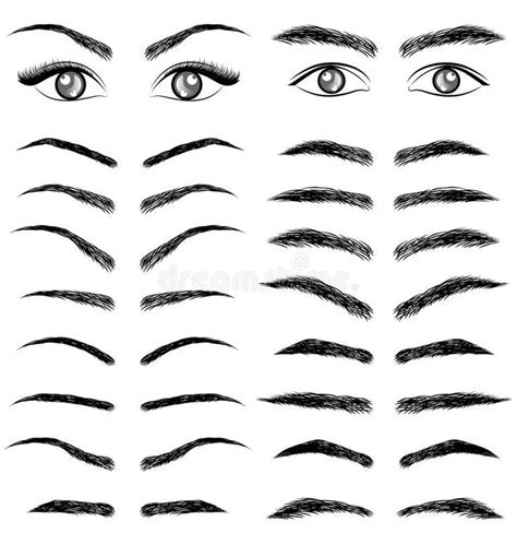eyebrow styles eyebrows sketch eyebrow design eye drawing